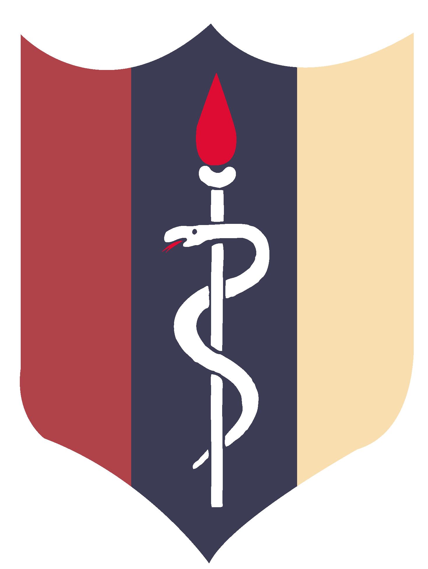 Amc Shield Logo Vector Logo